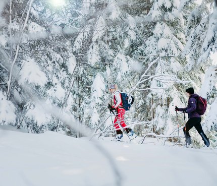 Skitour im Winterwonderland Filzmoos © Nadia Jabli_www.filzmoos.at Zwei Menschen beim Skilanglauf in einem verschneiten Wald