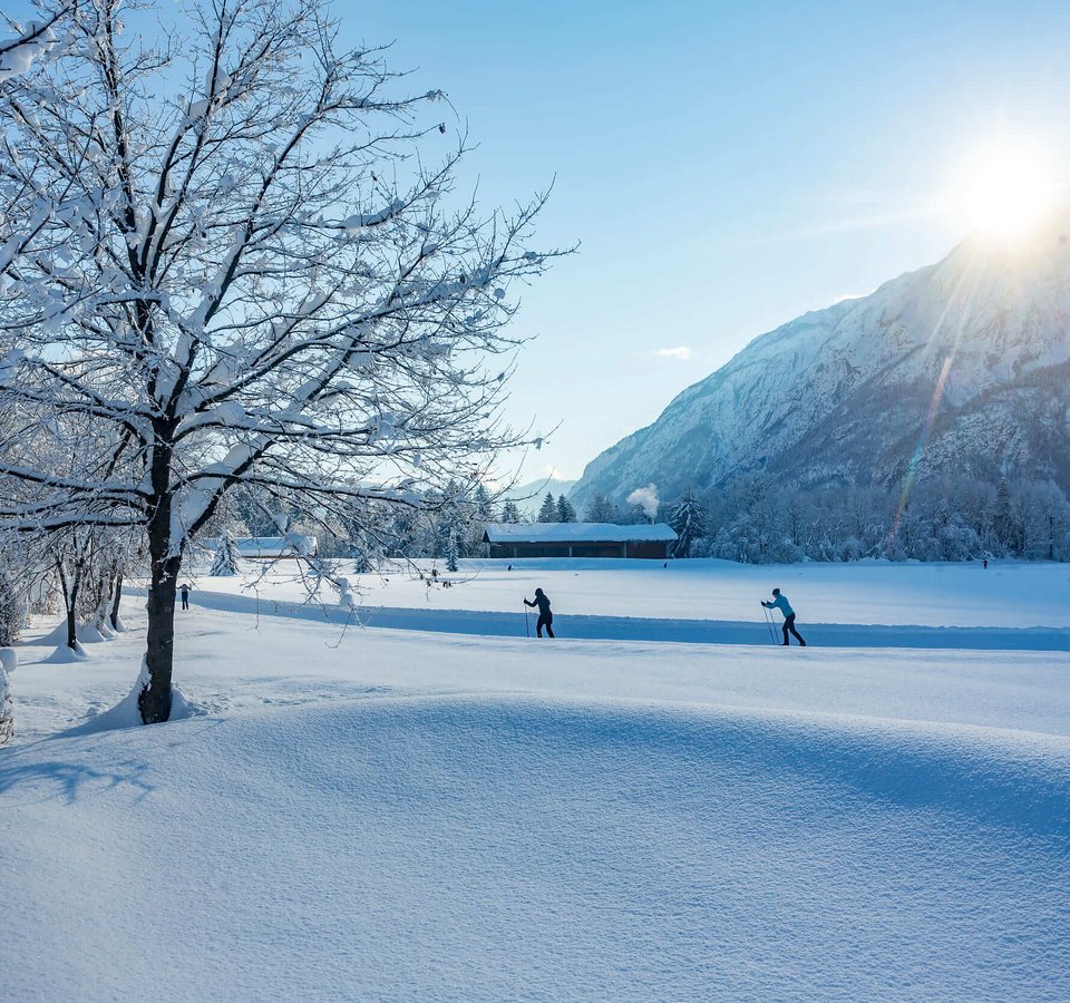 IBU Cup 2025 © Martin Lugger Winterlandschaft mit verschneiten Bäumen und Langläufern bei Sonnenschein
