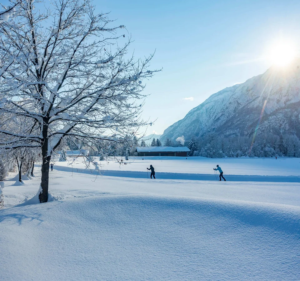 Winterlandschaft mit verschneiten Bäumen und Langläufern bei Sonnenschein