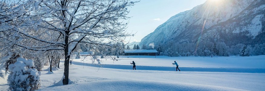 Winterlandschaft mit verschneiten Bäumen und Langläufern bei Sonnenschein