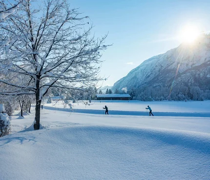 Winterlandschaft mit verschneiten Bäumen und Langläufern bei Sonnenschein