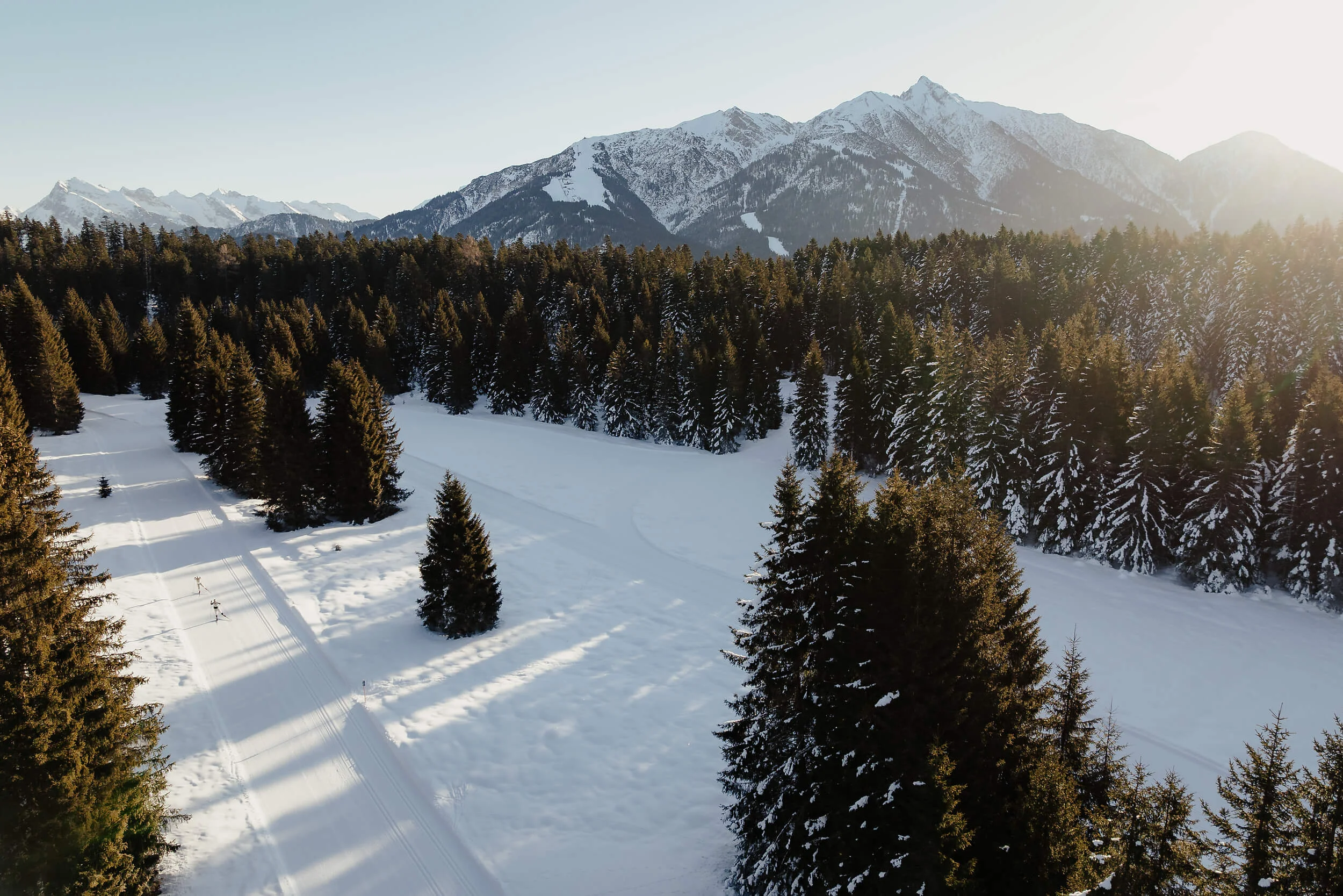 Verschneite Landschaft mit Tannenwald und Bergen im Sonnenlicht