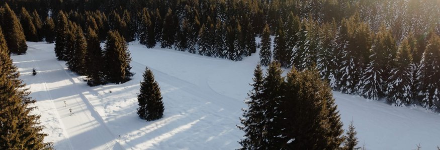 Snowy landscape with fir trees and mountains in sunlight