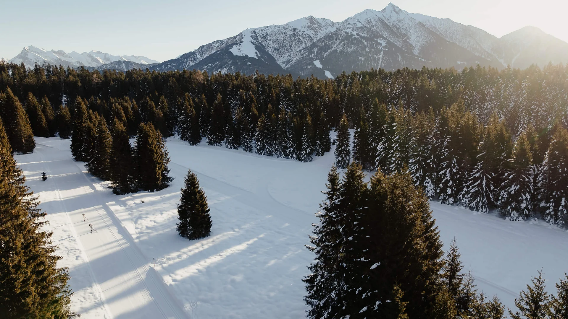 Verschneite Landschaft mit Tannenwald und Bergen im Sonnenlicht
