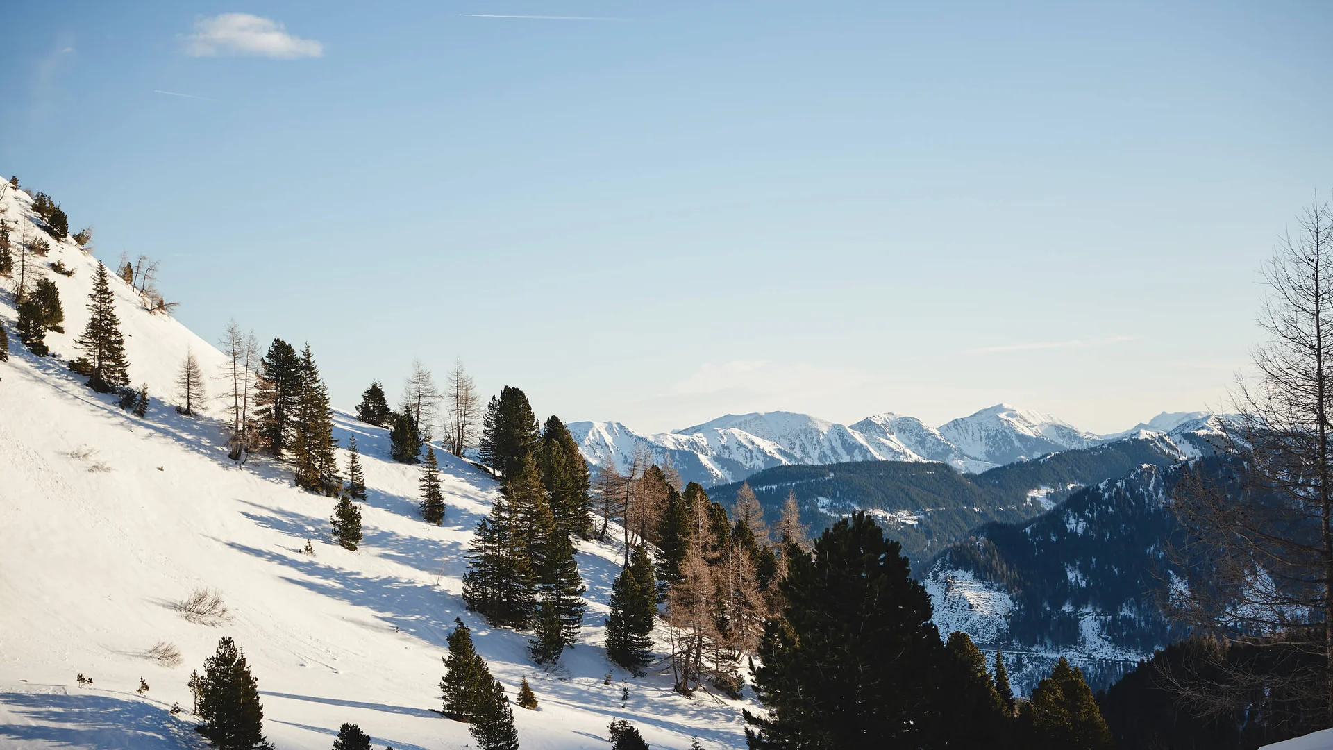 Schneebedeckte Berge mit Tannen unter klarem Himmel