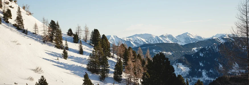 Schneebedeckte Berge mit Tannen unter klarem Himmel