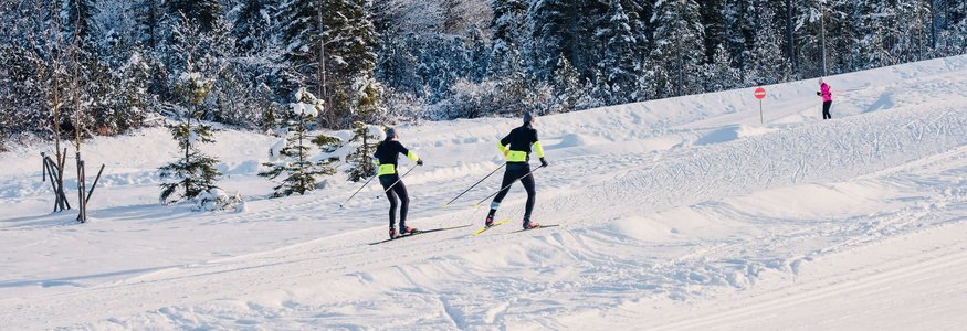 Zwei Langläufer in schwarz und gelb neben Schnee und Bäumen