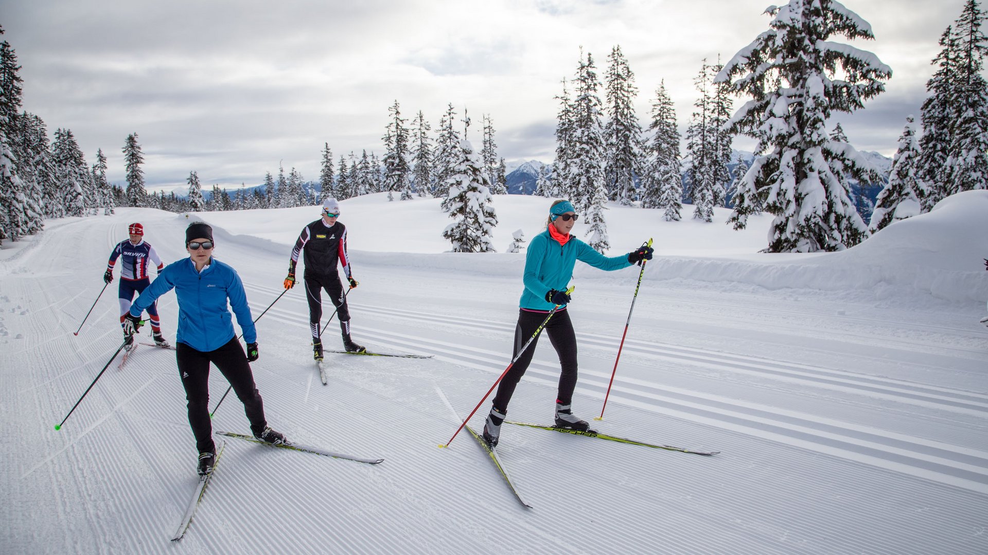 Four cross-country skiers training on a snowy trail in a winter forest
