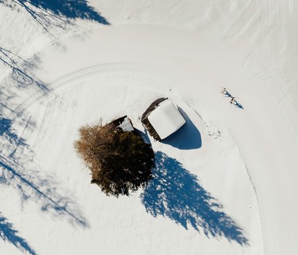 Vogelperspektive auf schneebedecktes Haus und Baum mit Langläufern