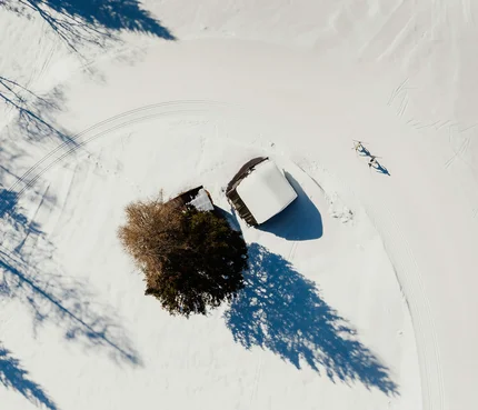 Vogelperspektive auf schneebedecktes Haus und Baum mit Langläufern