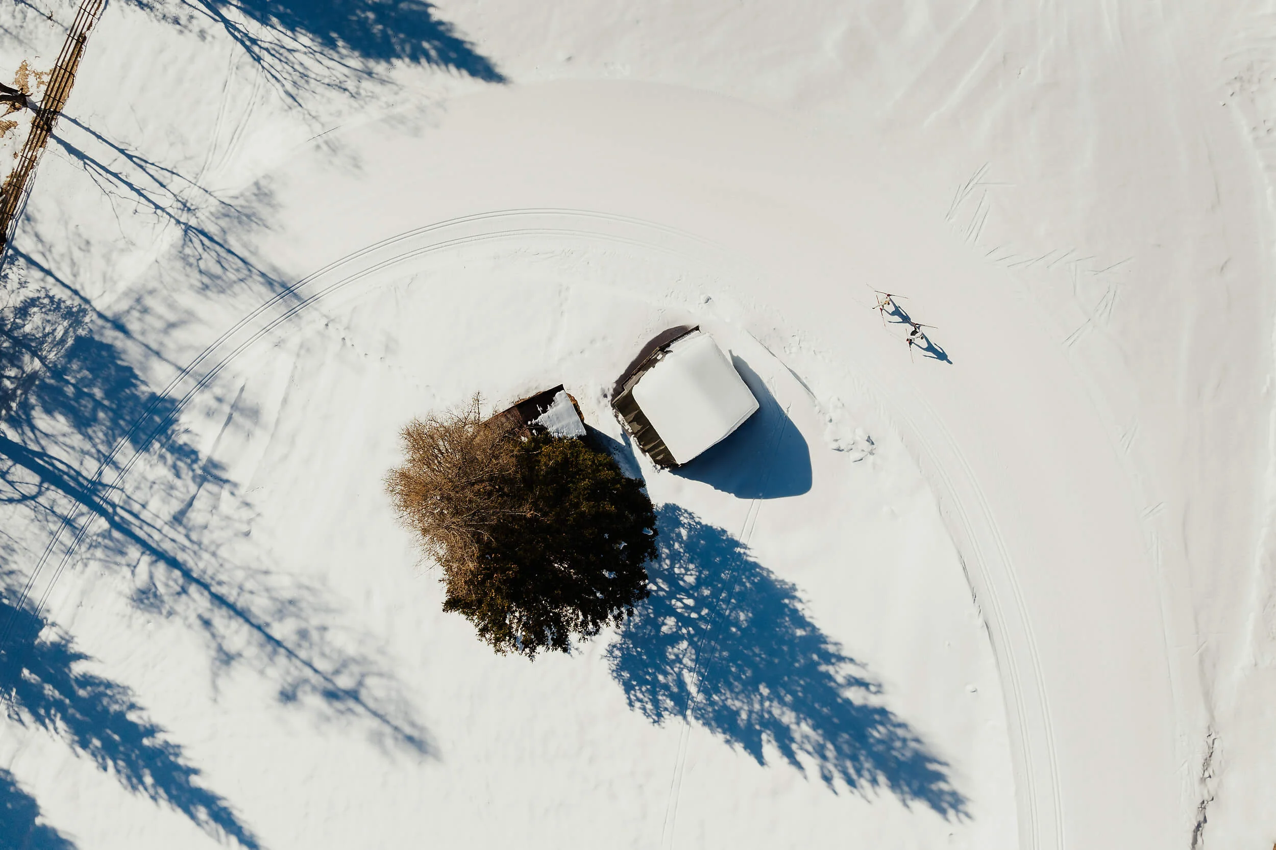 Vogelperspektive auf schneebedecktes Haus und Baum mit Langläufern