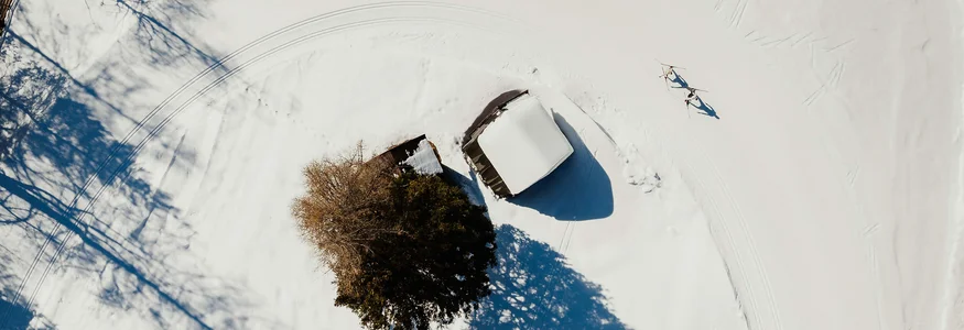 Vogelperspektive auf schneebedecktes Haus und Baum mit Langläufern