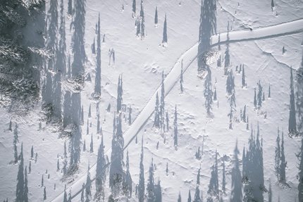 Luftbild einer verschneiten Landschaft mit langen Schatten von Bäumen