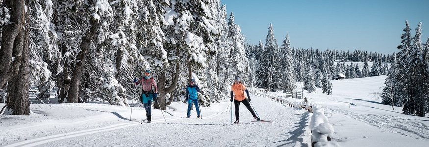 Drei Personen beim Langlaufen auf verschneiter Winterstrecke mit schneebedeckten Bäumen