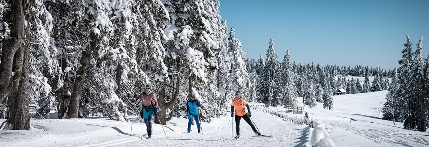 Drei Personen beim Langlaufen auf verschneiter Winterstrecke mit schneebedeckten Bäumen