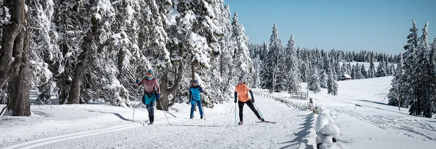 Slow Down in Slowenien © Daniel Hug Drei Personen beim Langlaufen auf verschneiter Winterstrecke mit schneebedeckten Bäumen