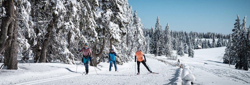 Drei Personen beim Langlaufen auf verschneiter Winterstrecke mit schneebedeckten Bäumen