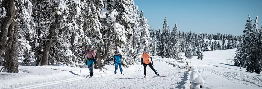 Slowenien: Geheimtipp für Nordische Wintersportler © Daniel Hug Drei Personen beim Langlaufen auf verschneiter Winterstrecke mit schneebedeckten Bäumen