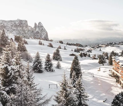 Winterlandschaft mit schneebedeckten Bäumen und Berghotel