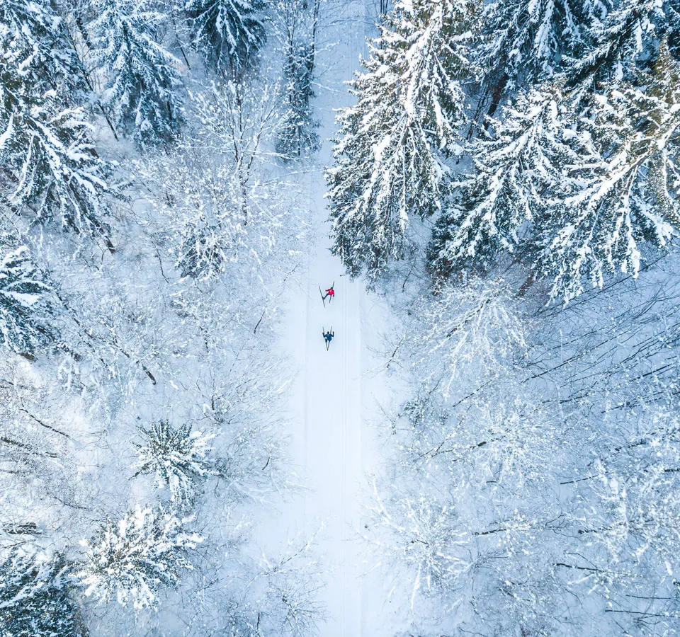 Zwei Skifahrer fahren durch einen schneebedeckten Wald von oben gesehen