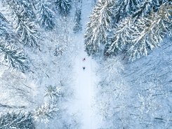 Two skiers skiing through a snow-covered forest from above