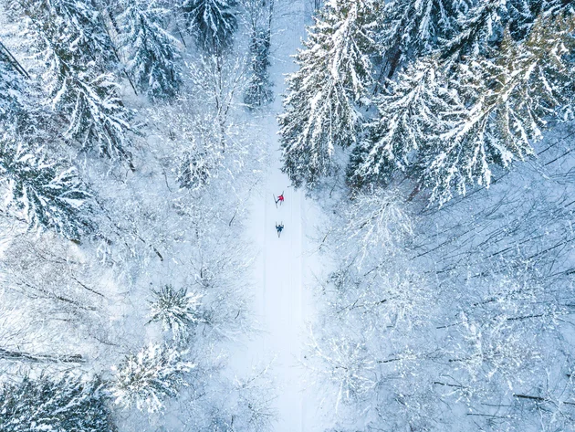 Two skiers skiing through a snow-covered forest from above