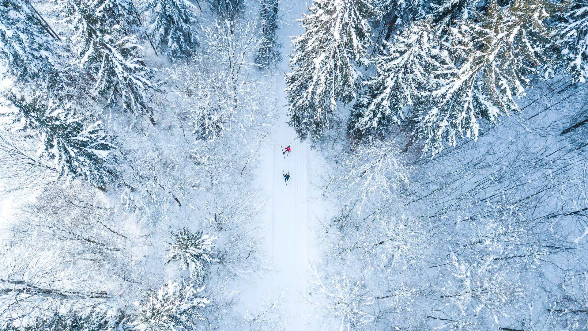 Zwei Skifahrer fahren durch einen schneebedeckten Wald von oben gesehen