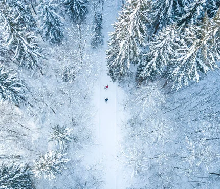 Two skiers skiing through a snow-covered forest from above