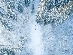 Zwei Skifahrer fahren durch einen schneebedeckten Wald von oben gesehen
