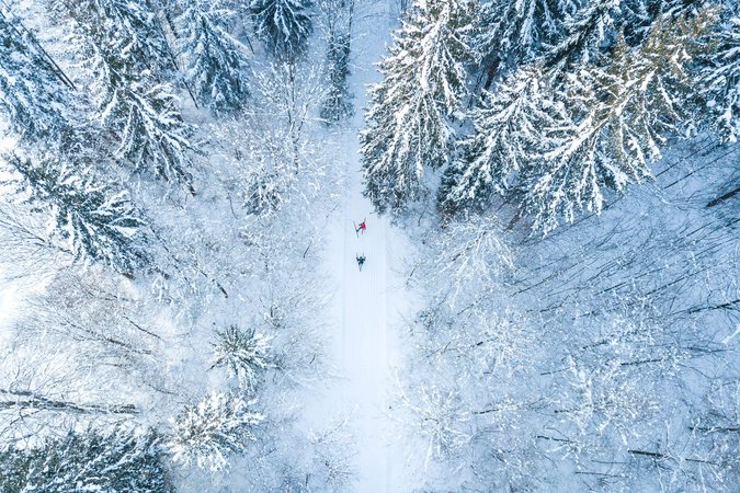 Zwei Skifahrer fahren durch einen schneebedeckten Wald von oben gesehen
