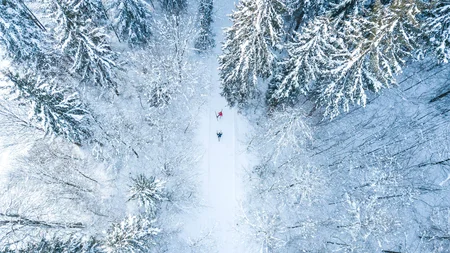 Two skiers skiing through a snow-covered forest from above