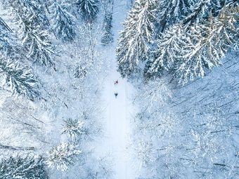 Kaiserwinkl © Tourismusverband Kaiserwinkl Zwei Skifahrer fahren durch einen schneebedeckten Wald von oben gesehen