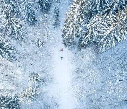 Two skiers skiing through a snow-covered forest from above
