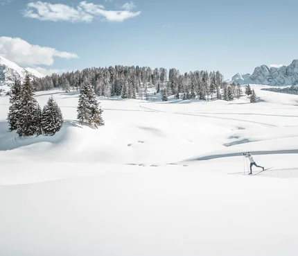 Dolomitenregion Seiser Alm © Dolomiti Nordic Ski - Manuel Kottersteger Skifahrer in verschneiter Berglandschaft mit blauen Himmel