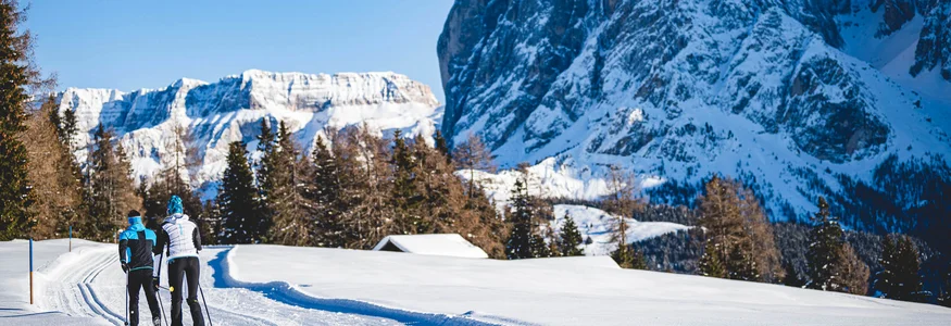 Zwei Langläufer vor schneebedeckten Bergen und Bäumen im Winter