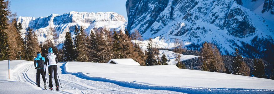 Zwei Langläufer vor schneebedeckten Bergen und Bäumen im Winter
