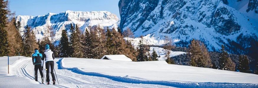 Zwei Langläufer vor schneebedeckten Bergen und Bäumen im Winter