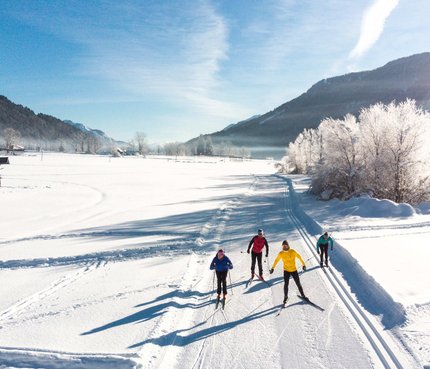 Vier Skifahrer auf einer Loipe in winterlicher Berglandschaft bei Sonnenschein