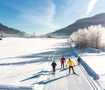 Vier Skifahrer auf einer Loipe in winterlicher Berglandschaft bei Sonnenschein