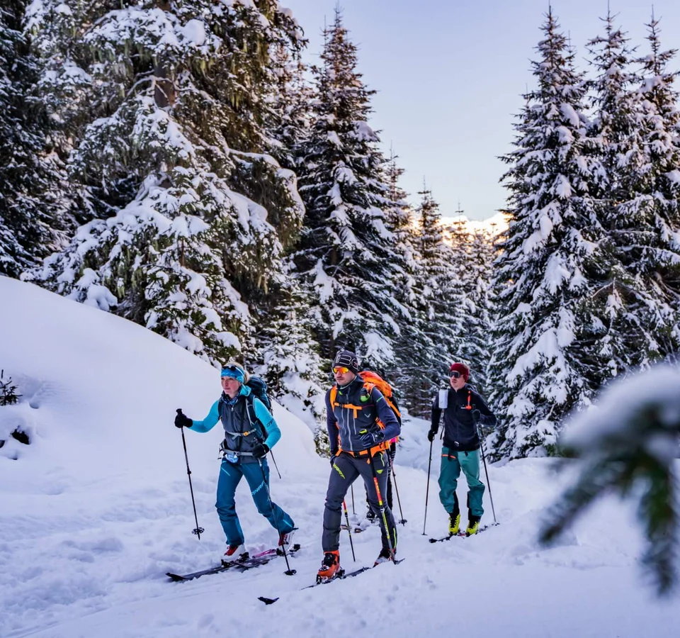 Drei Skitourengeher wandern durch verschneiten Wald
