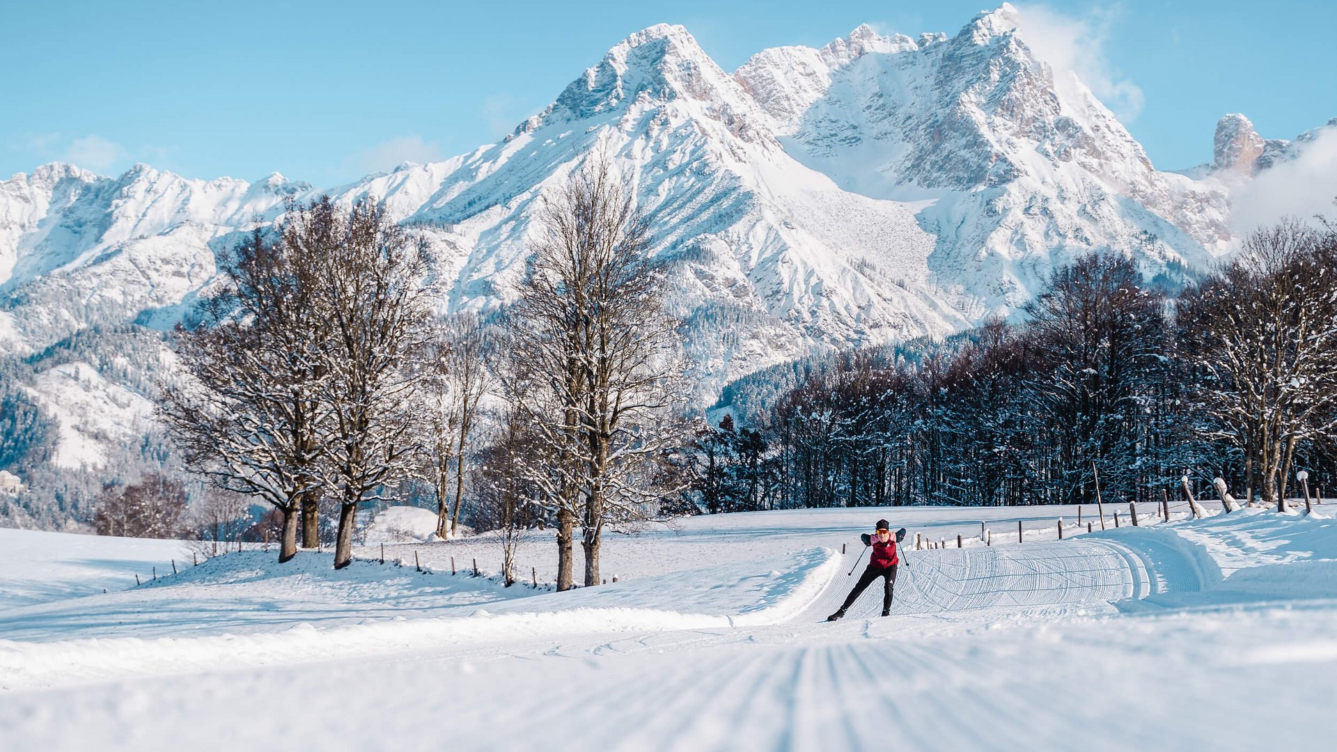 Langläufer auf verschneiter Loipe vor schneebedeckten Bergen