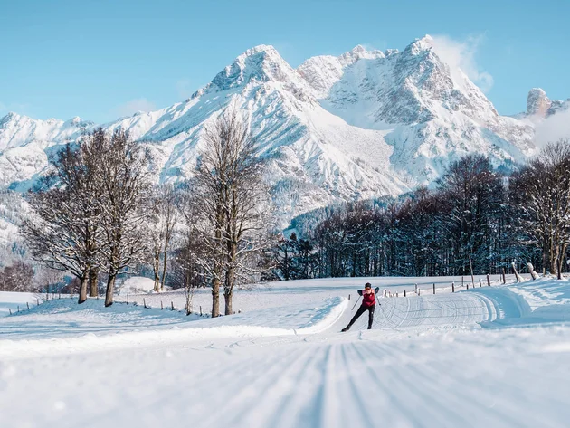 Cross-country skier on snowy trail with snow-covered mountains in background