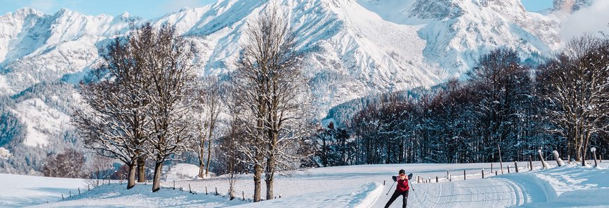 Langläufer auf verschneiter Loipe vor schneebedeckten Bergen