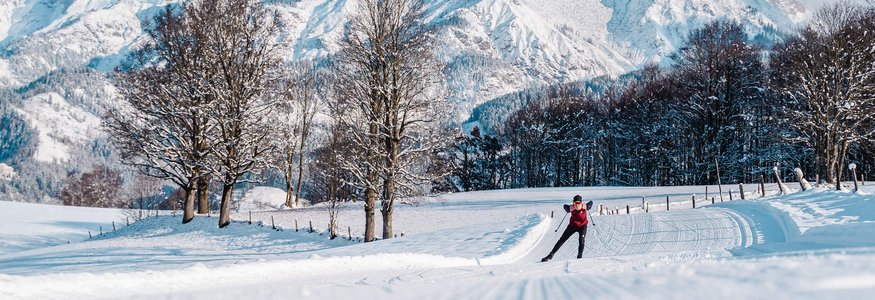 Cross-country skier on snowy trail with snow-covered mountains in background
