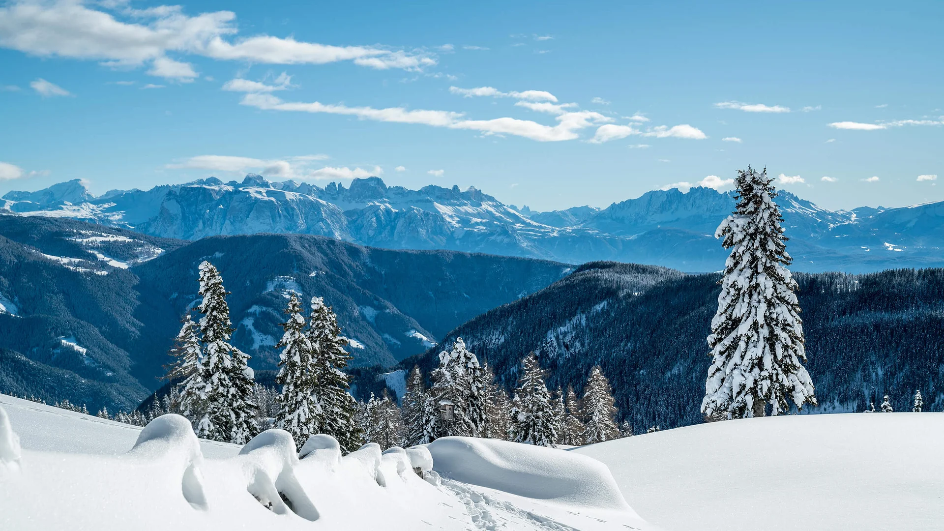 Snow-covered alpine landscape with fir trees and clear blue sky