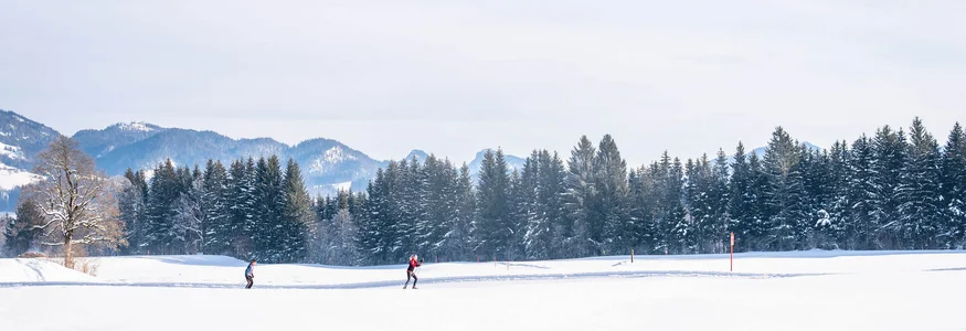 Die Kaiserwinklloipe © Tourismusverband Kaiserwinkl Skifahrer auf verschneiter Wiese mit Waldrand und Bergen im Hintergrund