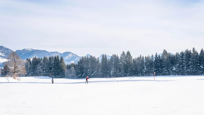 Skifahrer auf verschneiter Wiese mit Waldrand und Bergen im Hintergrund
