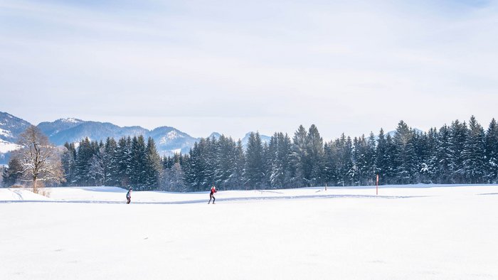 Kaiserwinkl: eine Langlaufregion der Superlative © Tourismusverband Kaiserwinkl Skifahrer auf verschneiter Wiese mit Waldrand und Bergen im Hintergrund