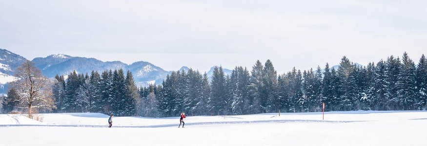 Skifahrer auf verschneiter Wiese mit Waldrand und Bergen im Hintergrund