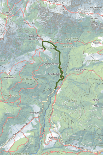 Wanderkarte mit markiertem Pfad im Hachauer Wald, Österreich